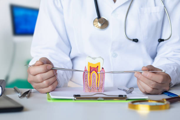 Best Emergency TMJ Treatment in Central Park, WA
